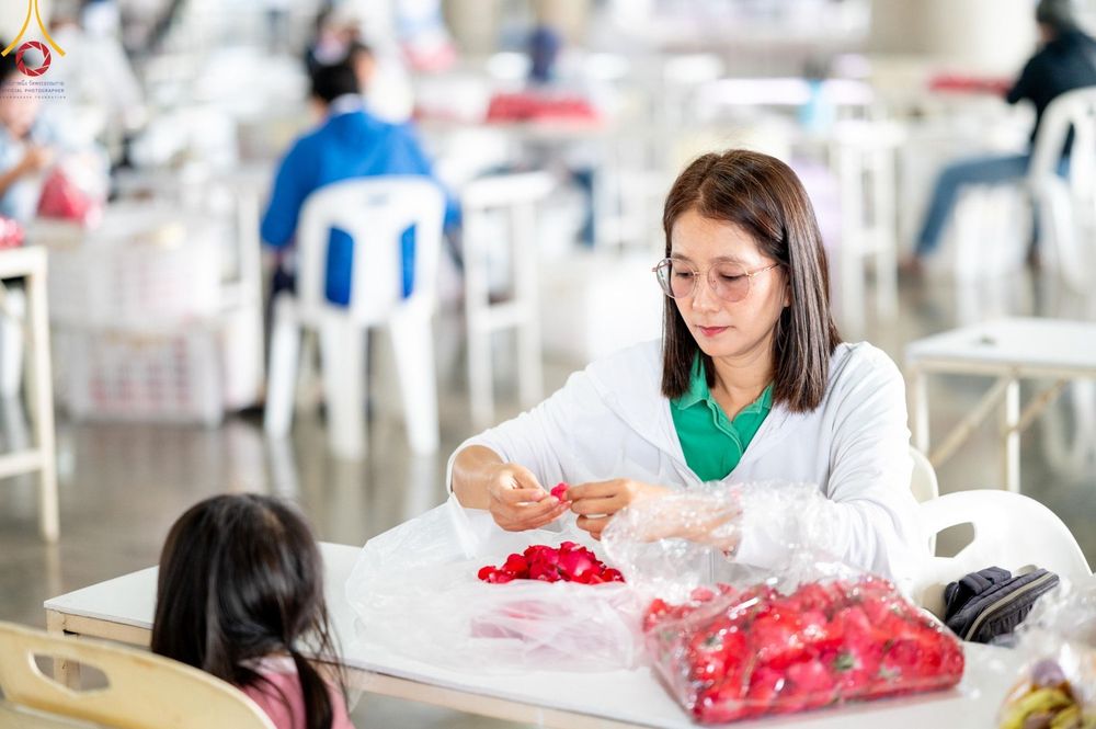 ภาพ No.187266:สาธุชน เจ้าหน้าที่ ร่วมบุญปลิดกลีบดอกไม้ เพื่อโปรยต้อนรับพระธรรมยาตรา ตั้งแต่วันที่ 26 ธันวาคม พ.ศ. 2567 ณ วิหารคด 31 วัดพระธรรมกาย
