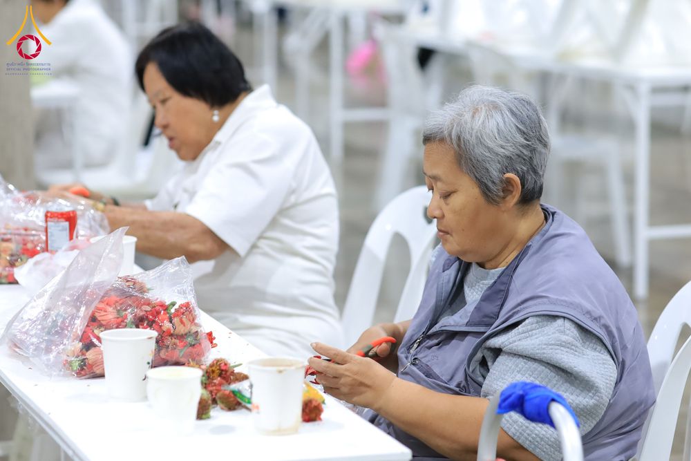 ภาพ No.303287:วันที่ 15-21 มกราคม พ.ศ.2569 ปลิดกลีบดอกเบญจทรัพย์ เพื่อโปรยต้อนรับพระธรรมยาตรา ในโครงการธรรมยาตรา กตัญญูบูชา มหาปูชนียาจารย์ พระมงคลเทพมุนี(สด จนฺทสโร) พระผู้ปราบมาร อนุสรณ์สถาน 7 แห่ง ปีที่ 14 ณ วิหารคด วัดพระธรรมกาย