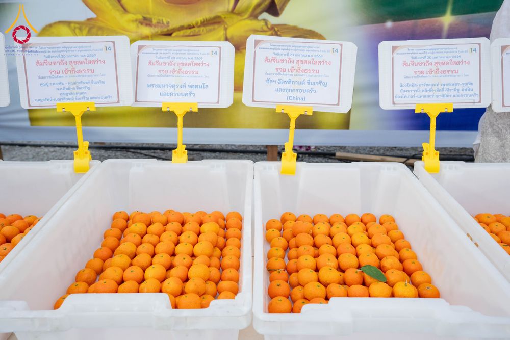 ภาพ No.298553:วันที่ 20 มกราคม พ.ศ. 2569 พิธีถวายภัตตาหารเป็นสังฆทาน แด่พระธรรมยาตรา ณ อนุสรณ์สถานบางปลา วัดบางปลา อำเภอบางเลน จังหวัดนครปฐม ในโครงการธรรมยาตรา กตัญญูบูชา มหาปูชนียาจารย์ พระมงคลเทพมุนี(สด จนฺทสโร) พระผู้ปราบมาร อนุสรณ์สถาน 7 แห่ง ปีที่ 14