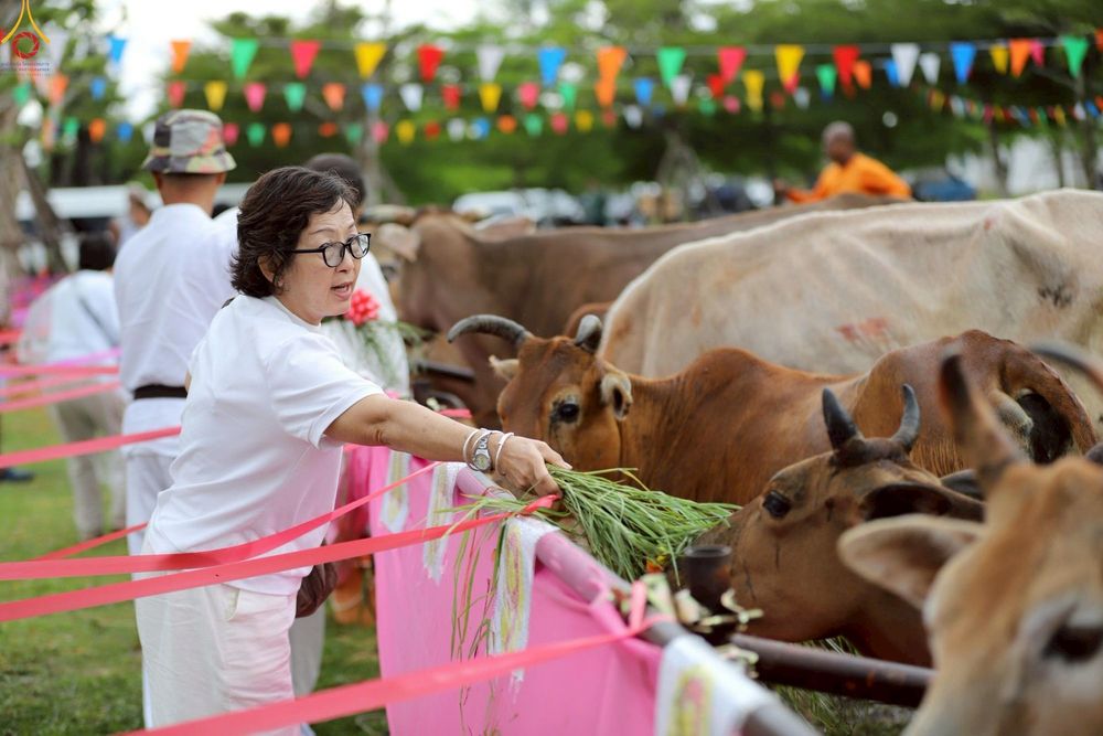 ภาพ No.241560:วันเสาร์ที่ 23 สิงหาคม พ.ศ. 2568 พิธีบุพเปตพลีนานาชาติ ปีที่ 12 ณ ศูนย์ปฏิบัติธรรมภาคใต้ อ.บางกล่ำ จ.สงขลา