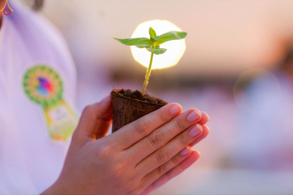 ภาพ No.252985:วันที่ 10 ตุลาคม พ.ศ. 2568 พิธีปลูกต้นทรัพย์บานชื่น ณ ลานธรรม วัดพระธรรมกาย