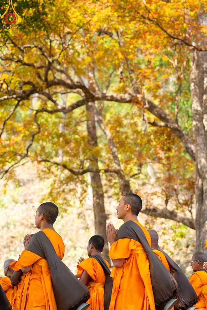 ภาพ No.315733:วันอังคารที่ 24 มีนาคม พ.ศ.2569 ธรรมยาตราจาริก ณ ป่ามหาวัน ประเทศเนปาล