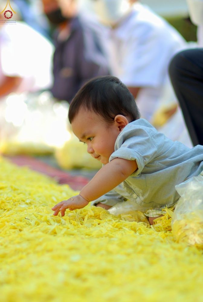 ภาพ No.72228:พิธีต้อนรับพระธรรมยาตรา ในโครงการธรรมยาตรากตัญญูบูชา มหาปูชนียาจารย์ พระมงคลเทพมุนี(สด จนฺทสโร) พระผู้ปราบมาร อนุสรณ์สถาน 7 แห่ง ปีที่ 11 วันที่ 18 มกราคม พ.ศ. 2566 ณ อนุสรณ์สถานลำดับที่ 4 สถานที่เกิดด้วยกายธรรม วัดโบสถ์ (บน) บางคูเวียง อ.บางกรวย จ.นนทบุ