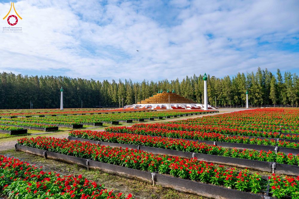 ภาพ No.285360:วันพุธที่ 10 ธันวาคม พ.ศ.2568  การเตรียมความพร้อมในโครงการธรรมยาตรา กตัญญูบูชา มหาปูชนียาจารย์ พระมงคลเทพมุนี(สด จนฺทสโร) พระผู้ปราบมาร อนุสรณ์สถาน 7 แห่ง ปีที่ 14 เก็บดอกเบญจทรัพย์ ณ วัดพระธรรมกาย