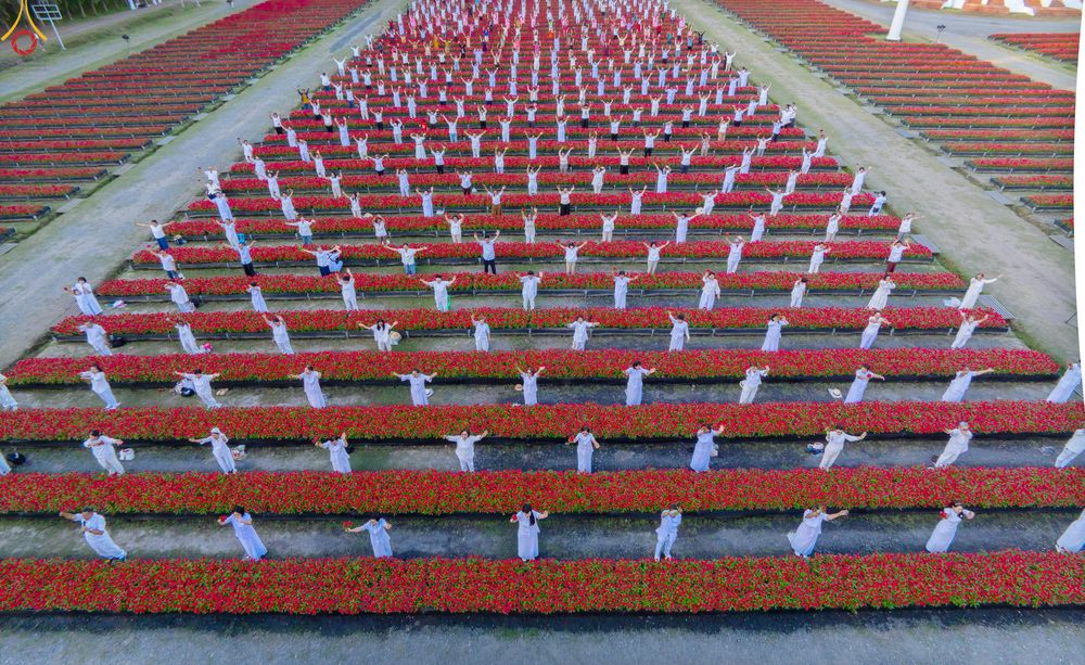 ภาพ No.280951:วันที่ 28 ธันวาคม พ.ศ.2568 กิจกรรมเก็บดอกแพงรวย ณ ทุ่งสวรรค์ตะวันฉาย วัดพระธรรมกาย