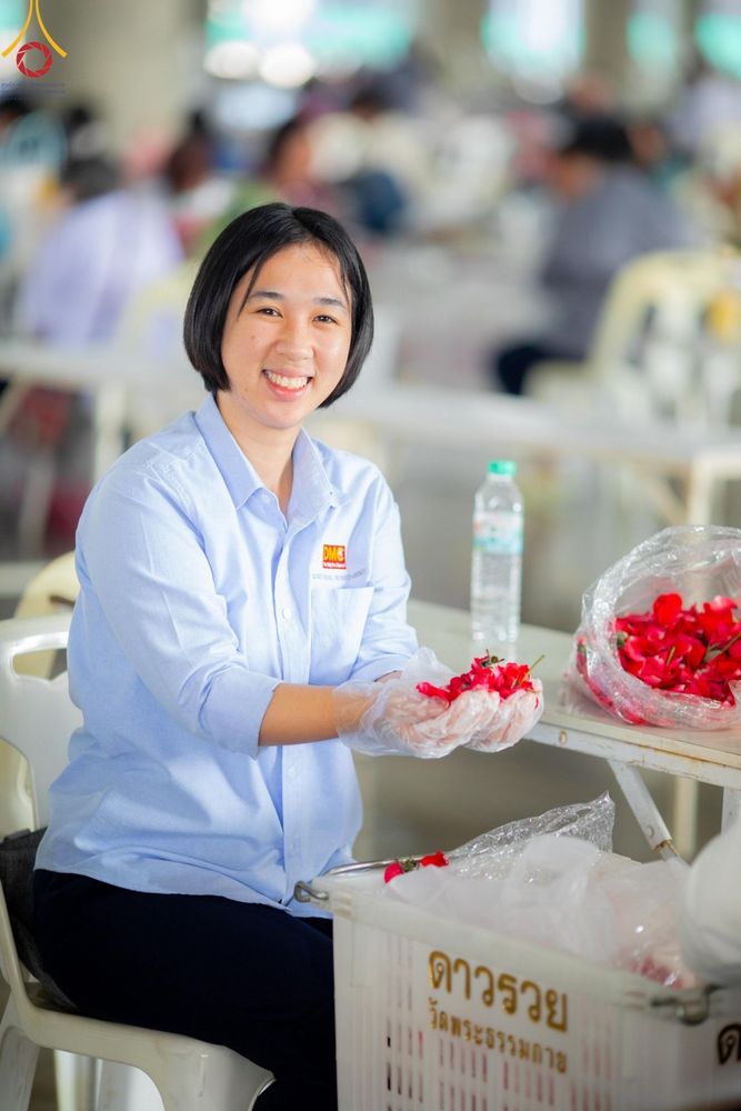 ภาพ No.187255:สาธุชน เจ้าหน้าที่ ร่วมบุญปลิดกลีบดอกไม้ เพื่อโปรยต้อนรับพระธรรมยาตรา ตั้งแต่วันที่ 26 ธันวาคม พ.ศ. 2567 ณ วิหารคด 31 วัดพระธรรมกาย