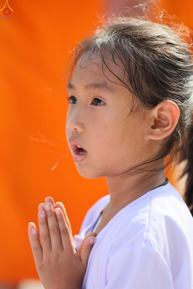 ภาพ No.287742:วันที่ 3 มกราคม พ.ศ. 2569 พิธีต้อนรับพระธรรมยาตรา ครั้งที่ 2 (ภาพชุดที่ 2) ในโครงการธรรมยาตรา กตัญญูบูชา มหาปูชนียาจารย์ พระมงคลเทพมุนี(สด จนฺทสโร) พระผู้ปราบมาร อนุสรณ์สถาน 7 แห่ง ปีที่ 14 ณ อนุสรณ์สถานมหาวิหารพระมงคลเทพมุนี (โลตัสแลนด์) อ.สองพี่น้อง จ.