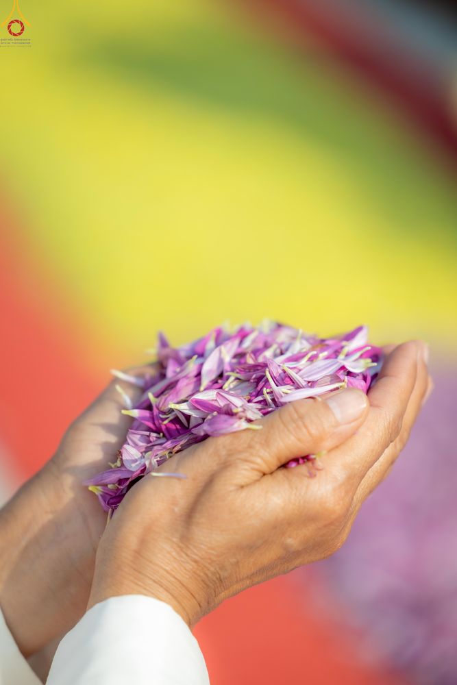 ภาพ No.299499:วันที่ 18 มกราคม พ.ศ. 2569 พิธีต้อนรับพระธรรมยาตรา ณ อนุสรณ์สถานลำดับที่ 5 สถานที่เผยแผ่วิชชาธรรมกายครั้งแรก อนุสรณ์สถานบางปลา วัดบางปลา อำเภอบางเลน จังหวัดนครปฐม ในโครงการธรรมยาตรา กตัญญูบูชา มหาปูชนียาจารย์ พระมงคลเทพมุนี(สด จนฺทสโร) พระผู้ปราบมาร อนุส