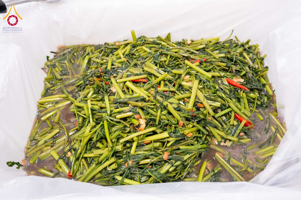 ภาพ No.301867:วันที่ 24 มกราคม พ.ศ. 2569 พิธีถวายภัตตาหารเป็นสังฆทาน แด่พระธรรมยาตรา ณ อนุสรณ์สถานบางปลา วัดบางปลา อำเภอบางเลน จังหวัดนครปฐม ในโครงการธรรมยาตรา กตัญญูบูชา มหาปูชนียาจารย์ พระมงคลเทพมุนี(สด จนฺทสโร) พระผู้ปราบมาร อนุสรณ์สถาน 7 แห่ง ปีที่ 14