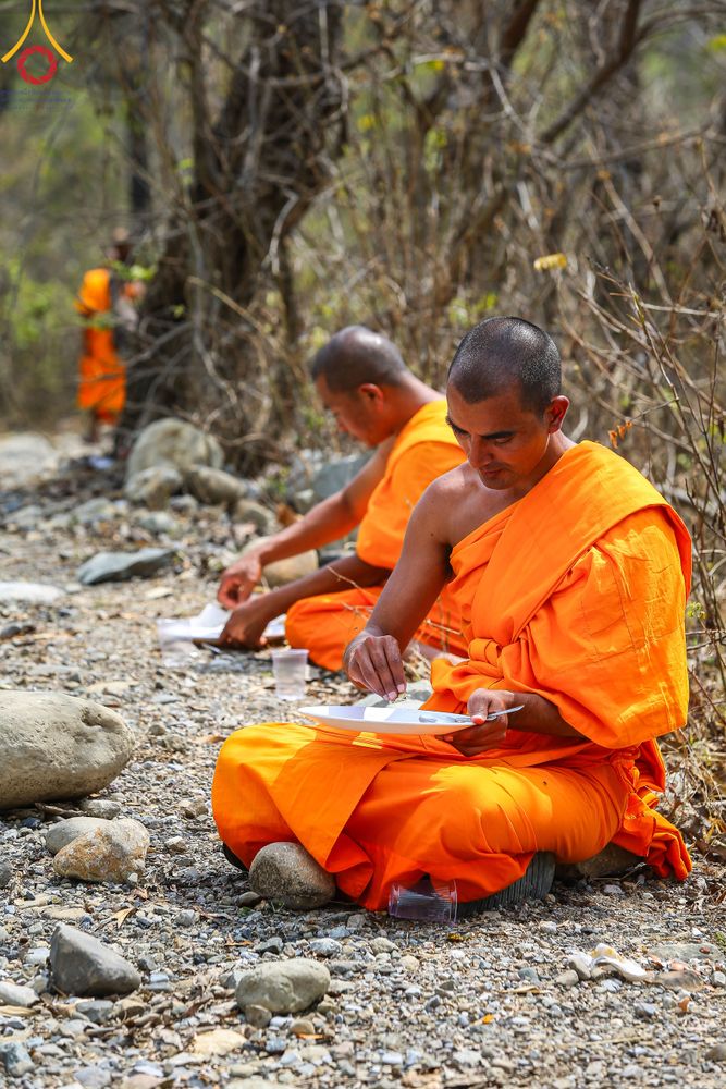 ภาพ No.315791:วันอังคารที่ 24 มีนาคม พ.ศ.2569 ธรรมยาตราจาริก ณ ป่ามหาวัน ประเทศเนปาล