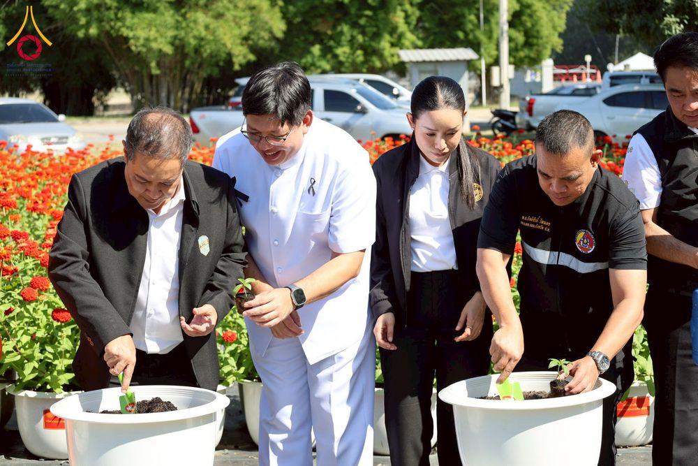 ภาพ No.271943:วันที่ 22 พฤศจิกายน พ.ศ. 2568 ผู้ว่าฯ ปทุมธานี ลงพื้นที่เยี่ยม “อำเภอคลองหลวง” พร้อมชมการเตรียมความพร้อมเทศกาลสวนดอกไม้ปทุมธานี “ทุ่งสวรรค์ ตะวันฉาย” ณ วัดพระธรรมกาย