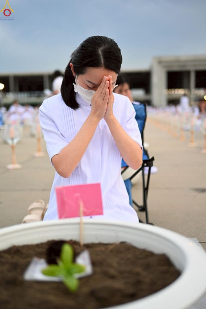 ภาพ No.252964:วันที่ 10 ตุลาคม พ.ศ. 2568 พิธีปลูกต้นทรัพย์บานชื่น ณ ลานธรรม วัดพระธรรมกาย