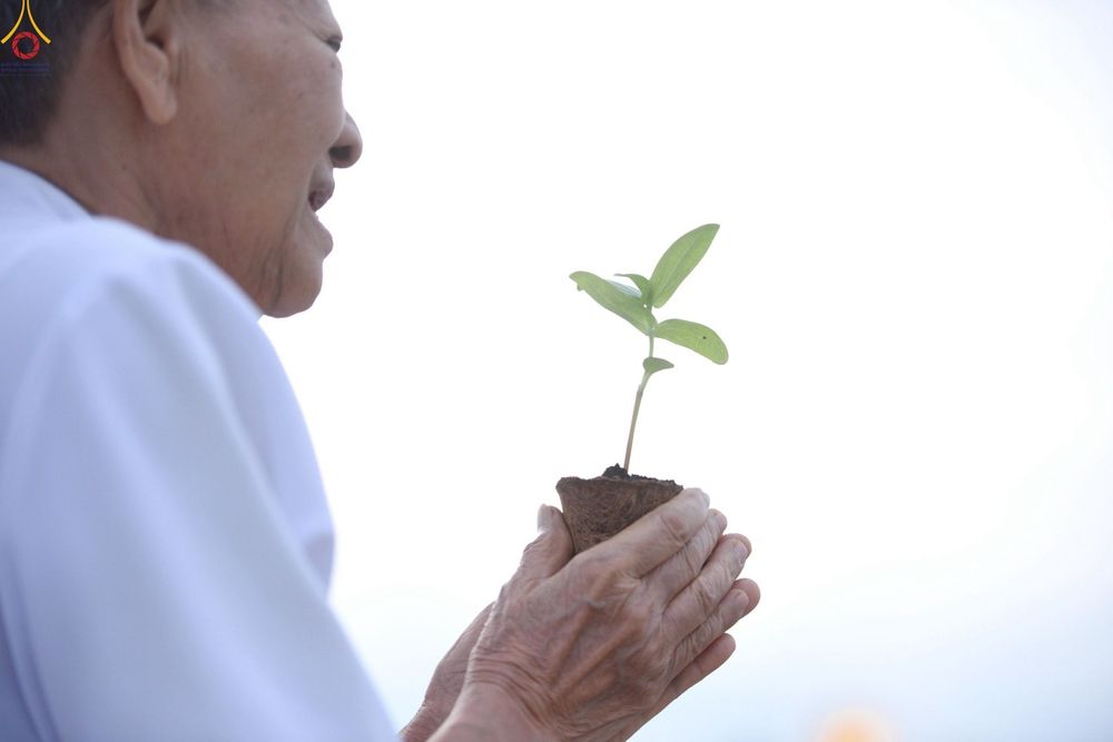 ภาพ No.252890:วันที่ 10 ตุลาคม พ.ศ. 2568 พิธีปลูกต้นทรัพย์บานชื่น ณ ลานธรรม วัดพระธรรมกาย