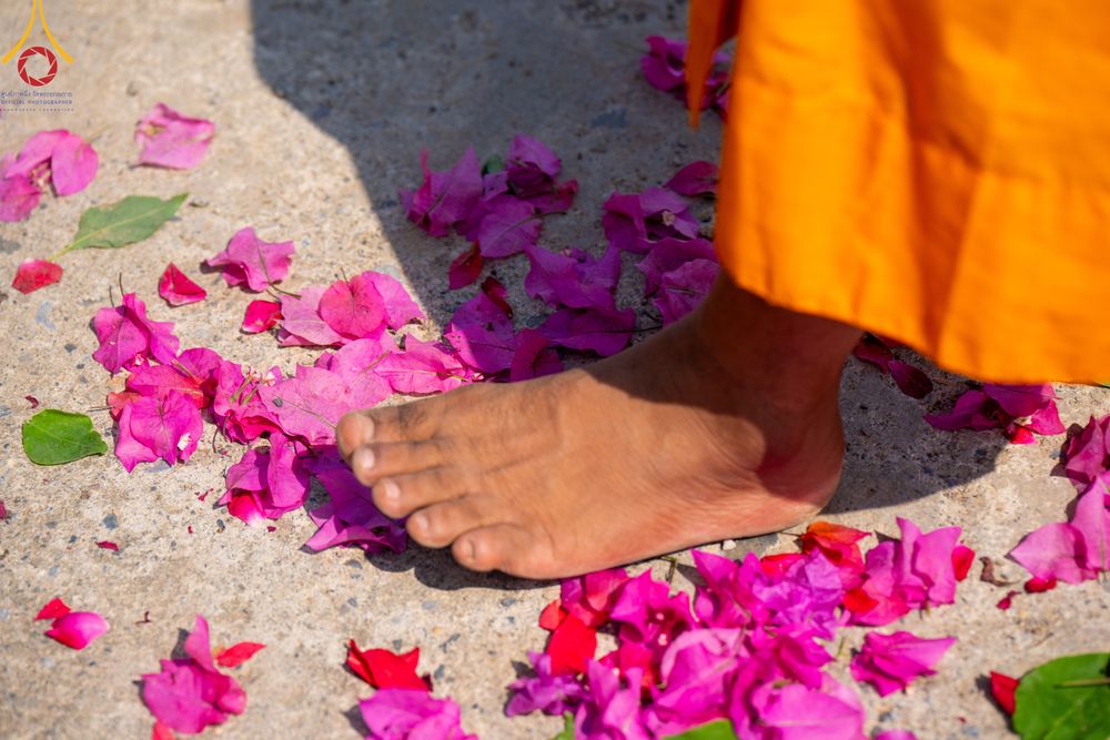 ภาพ No.315777:วันอังคารที่ 24 มีนาคม พ.ศ.2569 ธรรมยาตราจาริก ณ ป่ามหาวัน ประเทศเนปาล