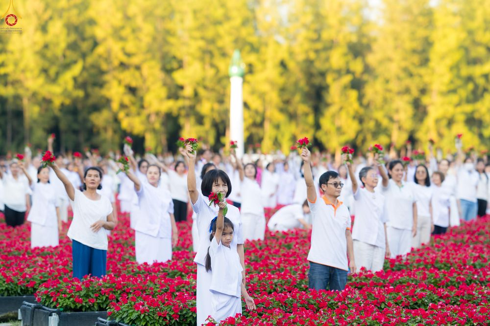 ภาพ No.280967:วันที่ 28 ธันวาคม พ.ศ.2568 กิจกรรมเก็บดอกแพงรวย ณ ทุ่งสวรรค์ตะวันฉาย วัดพระธรรมกาย