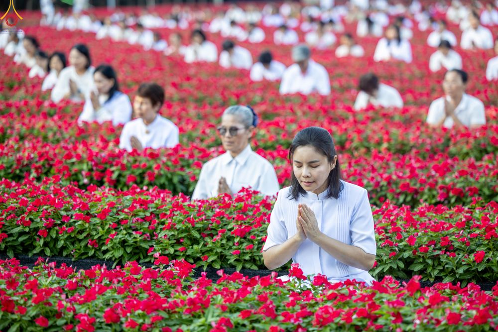 ภาพ No.280902:วันที่ 28 ธันวาคม พ.ศ.2568 กิจกรรมเก็บดอกแพงรวย ณ ทุ่งสวรรค์ตะวันฉาย วัดพระธรรมกาย