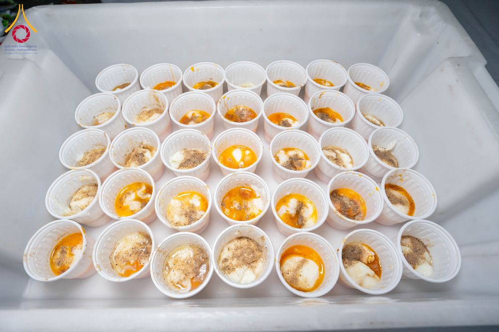 ภาพ No.299255:วันที่ 21 มกราคม พ.ศ. 2569 พิธีถวายภัตตาหารเป็นสังฆทาน แด่พระธรรมยาตรา ณ อนุสรณ์สถานบางปลา วัดบางปลา อำเภอบางเลน จังหวัดนครปฐม ในโครงการธรรมยาตรา กตัญญูบูชา มหาปูชนียาจารย์ พระมงคลเทพมุนี(สด จนฺทสโร) พระผู้ปราบมาร อนุสรณ์สถาน 7 แห่ง ปีที่ 14