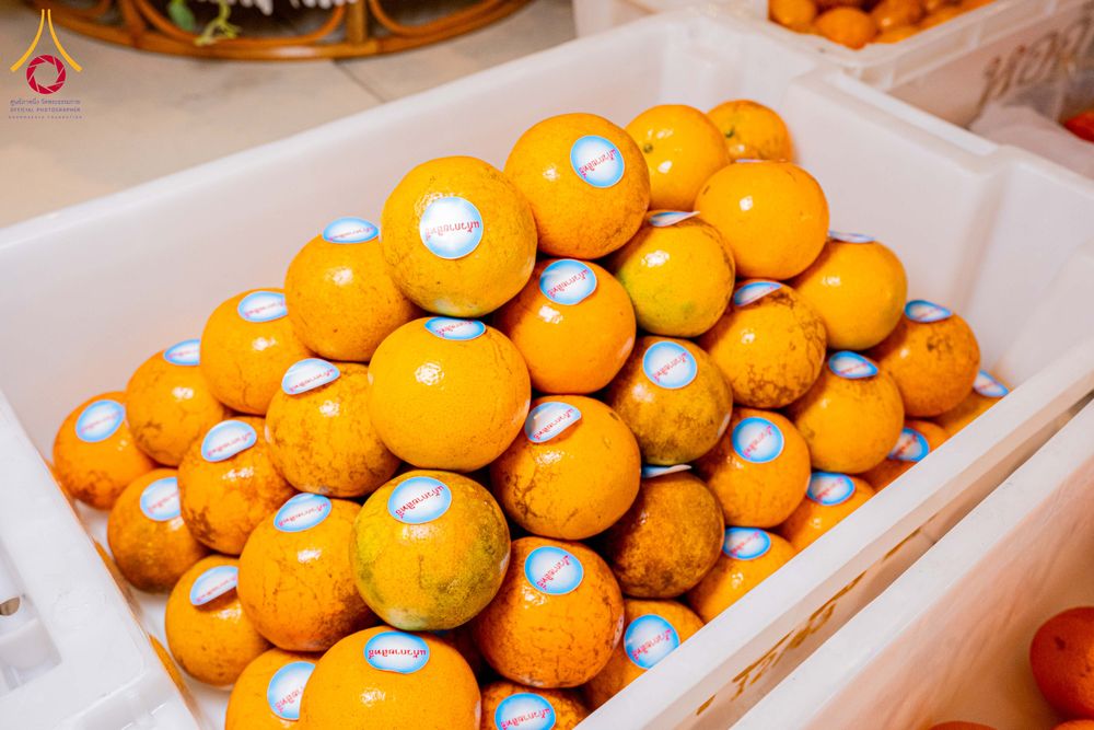 ภาพ No.306349:วันที่ 30 มกราคม พ.ศ. 2569 พิธีถวายภัตตาหารเป็นสังฆทาน แด่พระธรรมยาตรา ณ วัดพระธรรมกาย  จังหวัดปทุมธานี ในโครงการธรรมยาตรา กตัญญูบูชา มหาปูชนียาจารย์ พระมงคลเทพมุนี(สด จนฺทสโร) พระผู้ปราบมาร อนุสรณ์สถาน 7 แห่ง ปีที่ 14