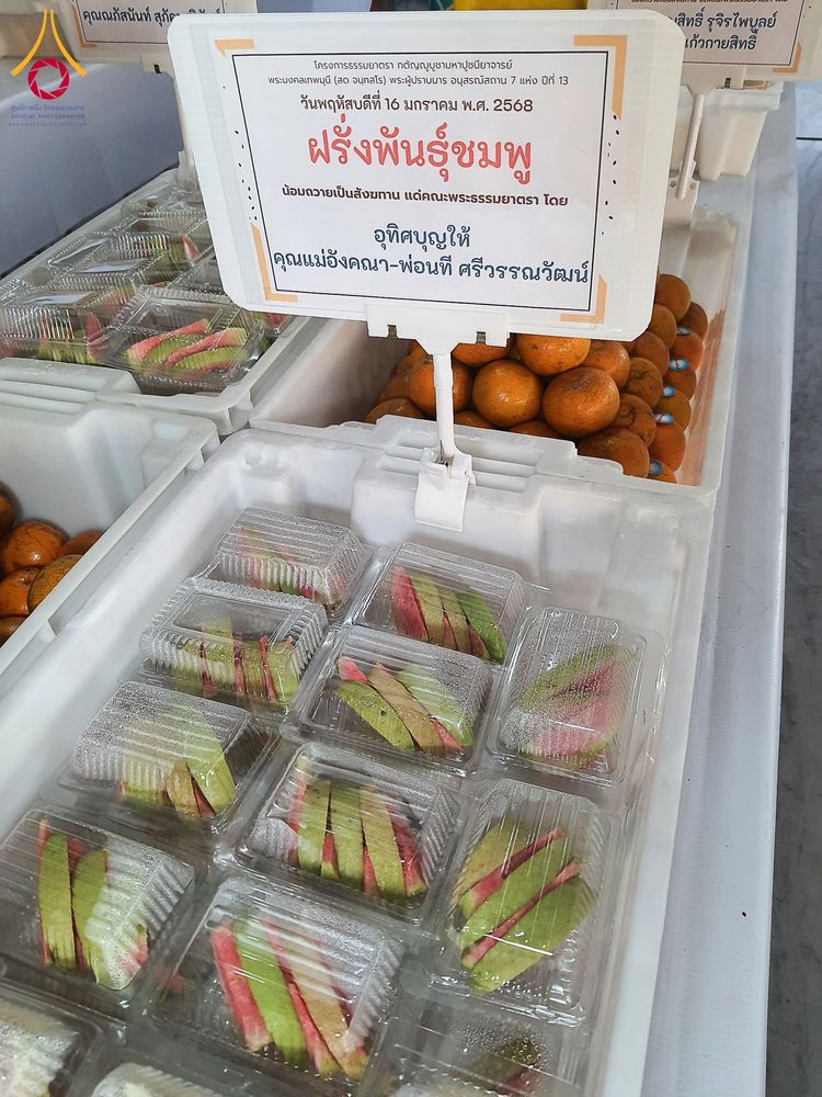 ภาพ No.195958:พิธีถวายภัตตาหารเป็นสังฆทาน แด่พระธรรมยาตรา ณ วัดโบสถ์(บน) ตำบลบางคูเวียง อำเภอบางกรวย จังหวัดนนทบุรี ในโครงการธรรมยาตรา กตัญญูบูชา มหาปูชนียาจารย์ พระมงคลเทพมุนี(สด จนฺทสโร) พระผู้ปราบมาร อนุสรณ์สถาน 7 แห่ง ปีที่ 13 วันที่ 16 มกราคม พ.ศ. 2568