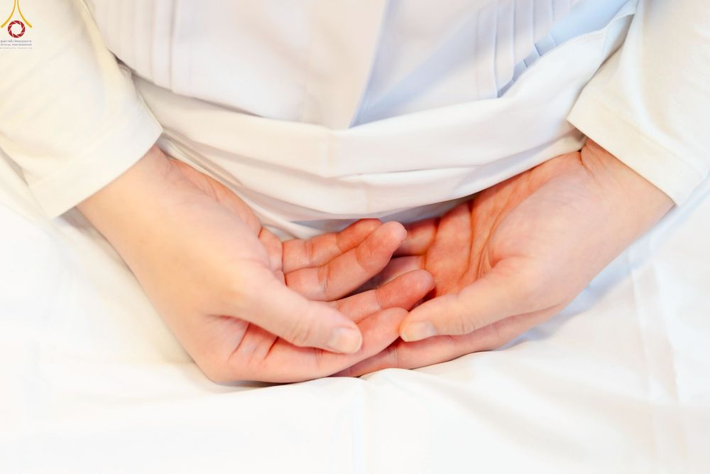 ภาพ No.254125:วันที่ 12 ตุลาคม พ.ศ. 2568 พิธีทอดกฐินวัดพระธรรมกายบูโรส ประเทศสวีเดน