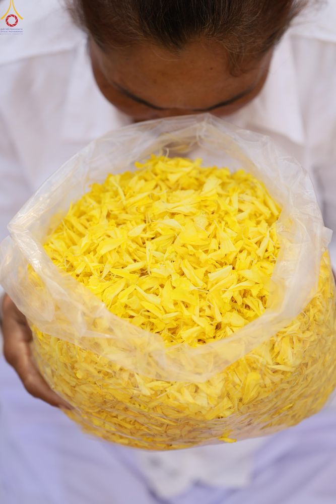 ภาพ No.294949:วันที่ 14 มกราคม พ.ศ. 2569 พิธีต้อนรับพระธรรมยาตรา อนุสรณ์สถานลำดับที่ 4  สถานที่เกิดด้วยกายธรรม ณ วัดโบสถ์บน ต.บางคูเวียง จ.นนทบุรี ในโครงการธรรมยาตรา กตัญญูบูชา มหาปูชนียาจารย์ พระมงคลเทพมุนี(สด จนฺทสโร) พระผู้ปราบมาร อนุสรณ์สถาน 7 แห่ง ปีที่ 14