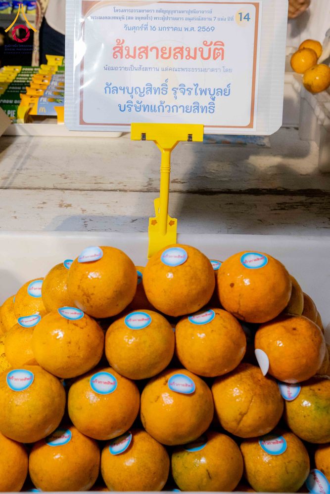 ภาพ No.295586:วันที่ 16 มกราคม พ.ศ. 2569 พิธีถวายภัตตาหารเป็นสังฆทาน แด่พระธรรมยาตรา ณ วัดโบสถ์บน ต.บางคูเวียง จ.นนทบุรี อนุสรณ์สถานลำดับที่ 4 สถานที่เกิดด้วยกายธรรม ในโครงการธรรมยาตรา กตัญญูบูชา มหาปูชนียาจารย์ พระมงคลเทพมุนี(สด จนฺทสโร) พระผู้ปราบมาร อนุสรณ์สถาน 7 แ