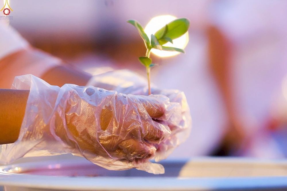 ภาพ No.253063:วันที่ 10 ตุลาคม พ.ศ. 2568 พิธีปลูกต้นทรัพย์บานชื่น ณ ลานธรรม วัดพระธรรมกาย