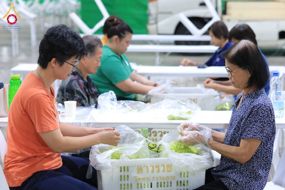 ภาพ No.303316:วันที่ 15-21 มกราคม พ.ศ.2569 ปลิดกลีบดอกเบญจทรัพย์ เพื่อโปรยต้อนรับพระธรรมยาตรา ในโครงการธรรมยาตรา กตัญญูบูชา มหาปูชนียาจารย์ พระมงคลเทพมุนี(สด จนฺทสโร) พระผู้ปราบมาร อนุสรณ์สถาน 7 แห่ง ปีที่ 14 ณ วิหารคด วัดพระธรรมกาย