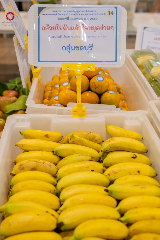 ภาพ No.287366:วันที่ 3 มกราคม พ.ศ.2569 พิธีถวายภัตตาหารเป็นสังฆทาน แด่พระธรรมยาตรา ณ วัดพระธรรมกาย  จังหวัดปทุมธานี ในโครงการธรรมยาตรา กตัญญูบูชา มหาปูชนียาจารย์ พระมงคลเทพมุนี(สด จนฺทสโร) พระผู้ปราบมาร อนุสรณ์สถาน 7 แห่ง ปีที่ 14