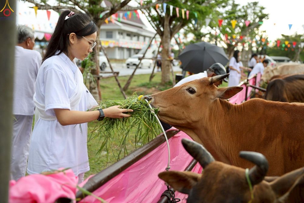 ภาพ No.241558:วันเสาร์ที่ 23 สิงหาคม พ.ศ. 2568 พิธีบุพเปตพลีนานาชาติ ปีที่ 12 ณ ศูนย์ปฏิบัติธรรมภาคใต้ อ.บางกล่ำ จ.สงขลา