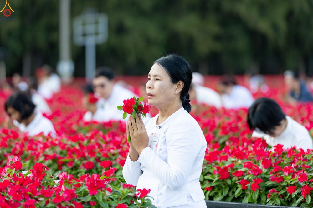 ภาพ No.280903:วันที่ 28 ธันวาคม พ.ศ.2568 กิจกรรมเก็บดอกแพงรวย ณ ทุ่งสวรรค์ตะวันฉาย วัดพระธรรมกาย