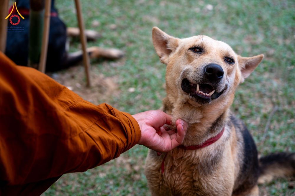 ภาพ No.309928:วันที่ 3-8 กุมภาพันธ์ พ.ศ. 2569 ธรรมยาตราบังกลาเทศ (Rajban Vihar - Khagrachri) ณ ประเทศบังกลาเทศ (Bangladesh)