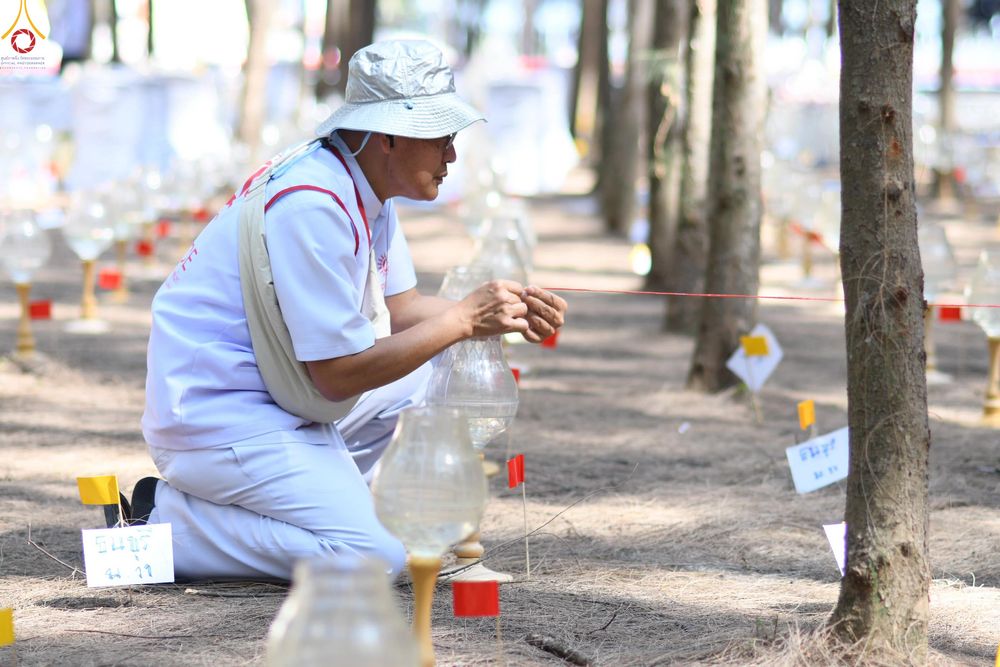 ภาพ No.301400:ภาพเบื้องหลังอาสาสมัครรวมใจ ชุดที่ 4 ในโครงการธรรมยาตรา กตัญญูบูชา มหาปูชนียาจารย์ พระมงคลเทพมุนี(สด จนฺทสโร) พระผู้ปราบมาร อนุสรณ์สถาน 7 แห่ง ปีที่ 14