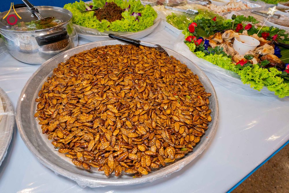 ภาพ No.307027:วันที่ 31 มกราคม พ.ศ. 2569 พิธีถวายภัตตาหารเป็นสังฆทาน แด่พระธรรมยาตรา ณ วัดพระธรรมกาย  จังหวัดปทุมธานี ในโครงการธรรมยาตรา กตัญญูบูชา มหาปูชนียาจารย์ พระมงคลเทพมุนี(สด จนฺทสโร) พระผู้ปราบมาร อนุสรณ์สถาน 7 แห่ง ปีที่ 14