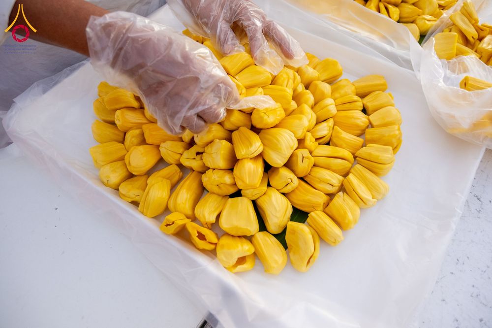 ภาพ No.291331:วันที่ 10 มกราคม พ.ศ. 2569 พิธีถวายภัตตาหารเป็นสังฆทาน แด่พระธรรมยาตรา ณ อนุสรณ์สถานคลองบางนางแท่น อ.สามพราน จ.นครปฐม ในโครงการธรรมยาตรา กตัญญูบูชา มหาปูชนียาจารย์ พระมงคลเทพมุนี(สด จนฺทสโร) พระผู้ปราบมาร อนุสรณ์สถาน 7 แห่ง ปีที่ 14