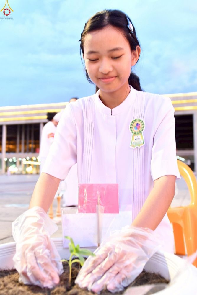 ภาพ No.253050:วันที่ 10 ตุลาคม พ.ศ. 2568 พิธีปลูกต้นทรัพย์บานชื่น ณ ลานธรรม วัดพระธรรมกาย