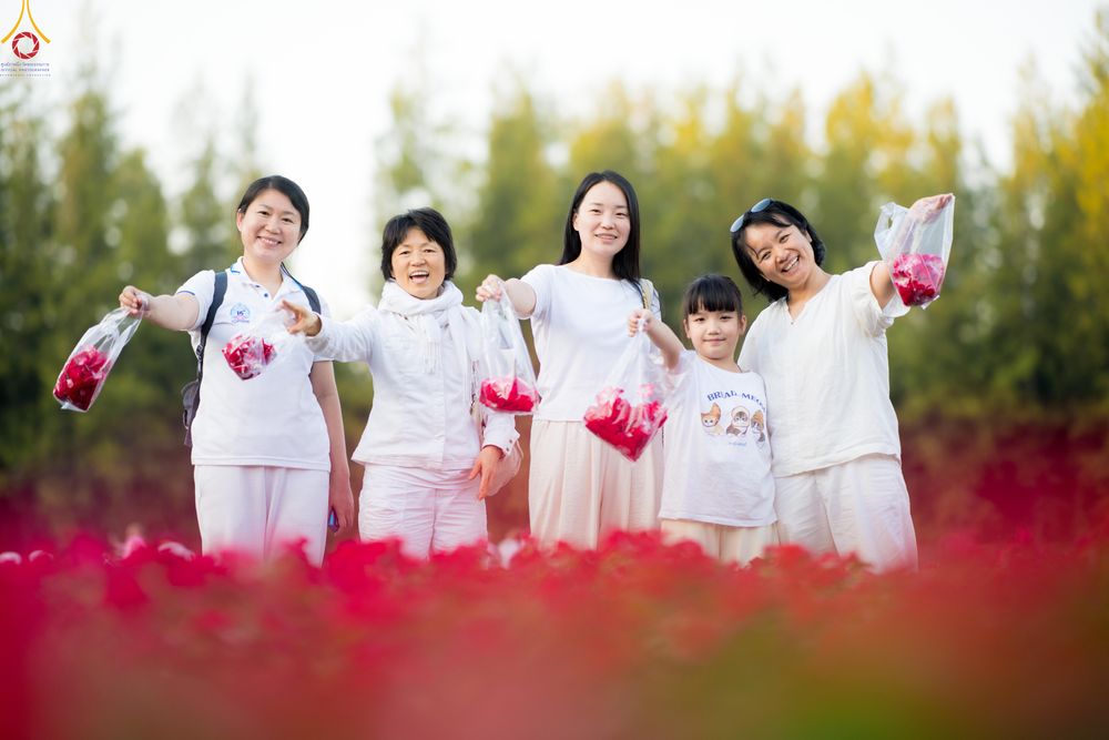 ภาพ No.281044:วันที่ 28 ธันวาคม พ.ศ.2568 กิจกรรมเก็บดอกแพงรวย ณ ทุ่งสวรรค์ตะวันฉาย วัดพระธรรมกาย