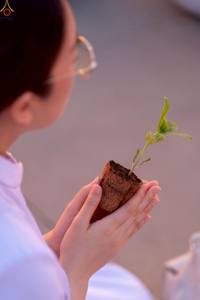 ภาพ No.252992:วันที่ 10 ตุลาคม พ.ศ. 2568 พิธีปลูกต้นทรัพย์บานชื่น ณ ลานธรรม วัดพระธรรมกาย