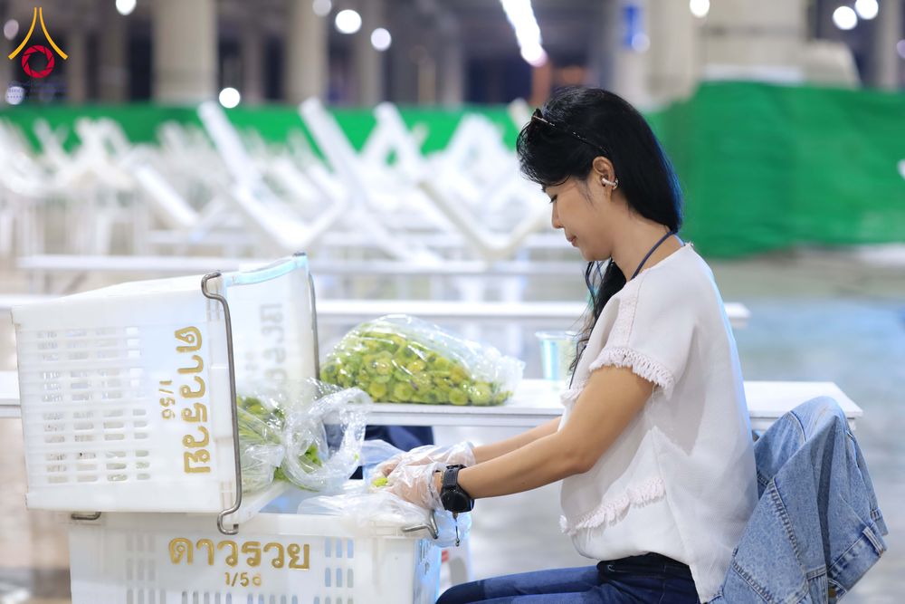 ภาพ No.303326:วันที่ 15-21 มกราคม พ.ศ.2569 ปลิดกลีบดอกเบญจทรัพย์ เพื่อโปรยต้อนรับพระธรรมยาตรา ในโครงการธรรมยาตรา กตัญญูบูชา มหาปูชนียาจารย์ พระมงคลเทพมุนี(สด จนฺทสโร) พระผู้ปราบมาร อนุสรณ์สถาน 7 แห่ง ปีที่ 14 ณ วิหารคด วัดพระธรรมกาย