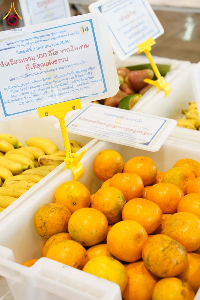 ภาพ No.287350:วันที่ 3 มกราคม พ.ศ.2569 พิธีถวายภัตตาหารเป็นสังฆทาน แด่พระธรรมยาตรา ณ วัดพระธรรมกาย  จังหวัดปทุมธานี ในโครงการธรรมยาตรา กตัญญูบูชา มหาปูชนียาจารย์ พระมงคลเทพมุนี(สด จนฺทสโร) พระผู้ปราบมาร อนุสรณ์สถาน 7 แห่ง ปีที่ 14