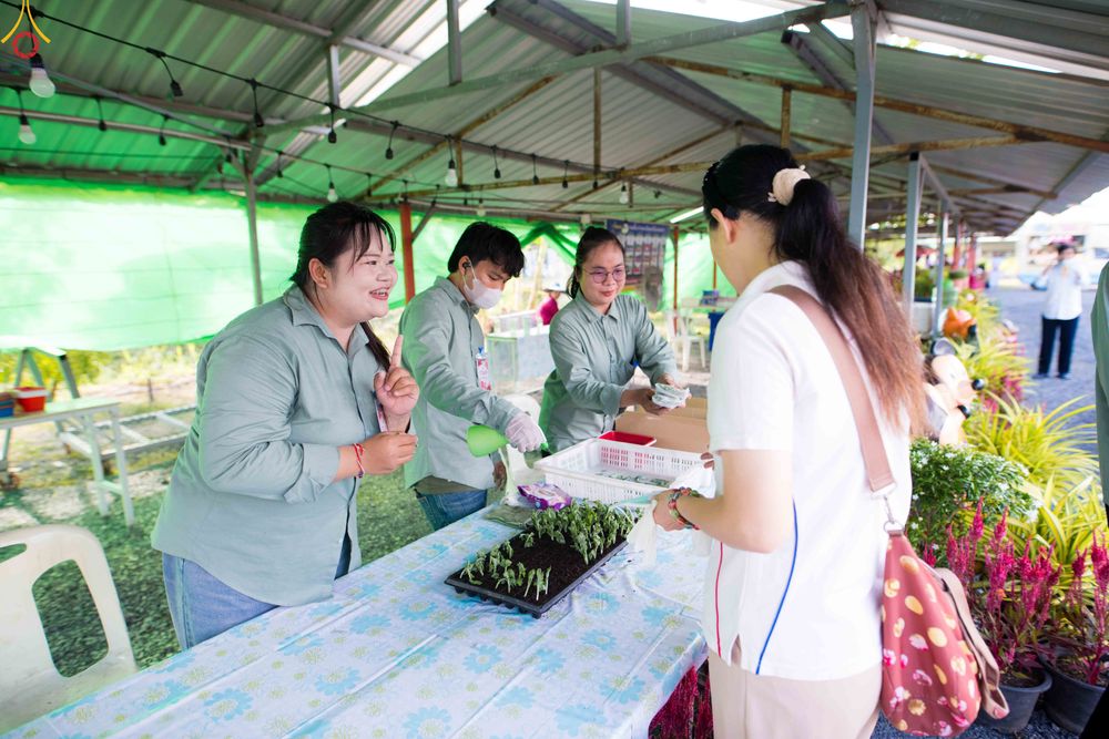 ภาพ No.343873:วันที่ 16 สิงหาคม พ.ศ.2569 การปักชำต้นกล้าเบญจทรัพย์ เพื่อเตรียมดอกไม้บูชาธรรม พระเดชพระคุณหลวงปู่ และโปรยต้อนรับพระธรรมยาตรา ปีที่ 15 ณ โรงเรือนปักชำประตู 8 วัดพระธรรมกาย
