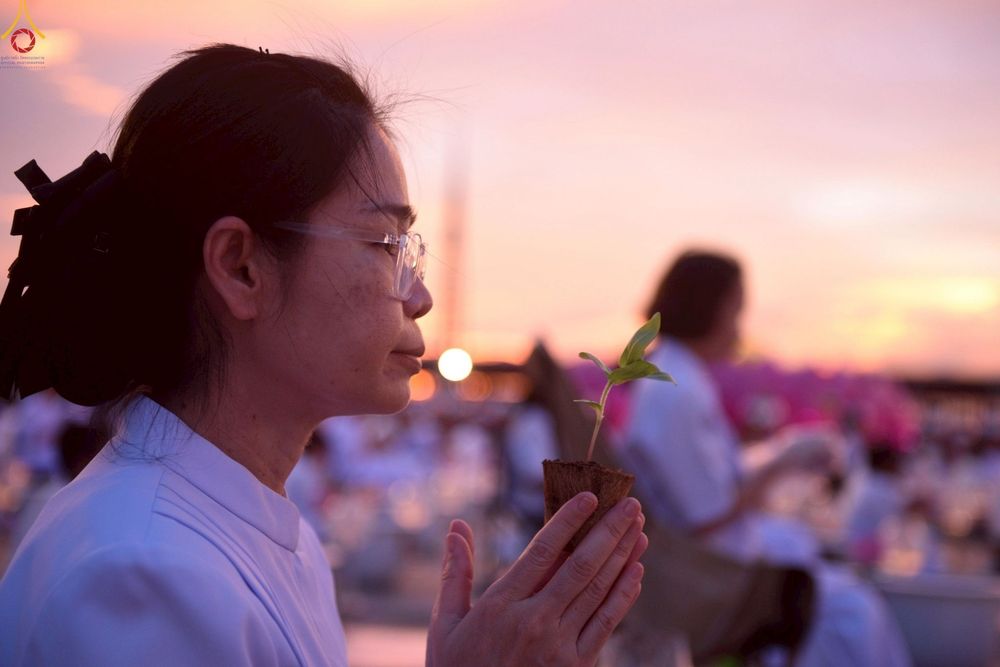 ภาพ No.253007:วันที่ 10 ตุลาคม พ.ศ. 2568 พิธีปลูกต้นทรัพย์บานชื่น ณ ลานธรรม วัดพระธรรมกาย