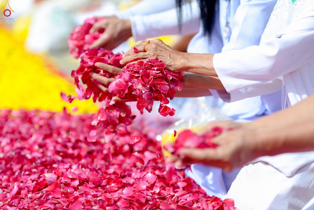 ภาพ No.287414:วันที่ 3 มกราคม พ.ศ. 2569 พิธีต้อนรับพระธรรมยาตรา ในโครงการธรรมยาตรา กตัญญูบูชา มหาปูชนียาจารย์ พระมงคลเทพมุนี(สด จนฺทสโร) พระผู้ปราบมาร อนุสรณ์สถาน 7 แห่ง ปีที่ 14 ณ อนุสรณ์สถานมหาวิหารพระมงคลเทพมุนี (โลตัสแลนด์) อ.สองพี่น้อง จ.สุพรรณบุรี