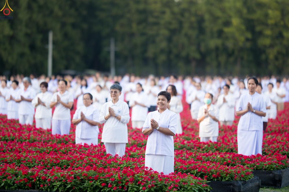 ภาพ No.280926:วันที่ 28 ธันวาคม พ.ศ.2568 กิจกรรมเก็บดอกแพงรวย ณ ทุ่งสวรรค์ตะวันฉาย วัดพระธรรมกาย