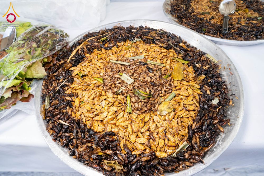 ภาพ No.294884:วันที่ 15 มกราคม พ.ศ. 2569 พิธีถวายภัตตาหารเป็นสังฆทาน แด่พระธรรมยาตรา ณ วัดโบสถ์บน ต.บางคูเวียง จ.นนทบุรี อนุสรณ์สถานลำดับที่ 4 สถานที่เกิดด้วยกายธรรม ในโครงการธรรมยาตรา กตัญญูบูชา มหาปูชนียาจารย์ พระมงคลเทพมุนี(สด จนฺทสโร) พระผู้ปราบมาร อนุสรณ์สถาน 7 แ