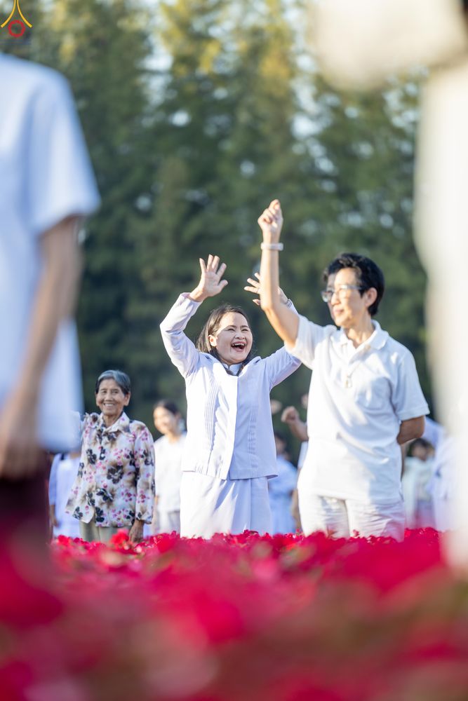 ภาพ No.280974:วันที่ 28 ธันวาคม พ.ศ.2568 กิจกรรมเก็บดอกแพงรวย ณ ทุ่งสวรรค์ตะวันฉาย วัดพระธรรมกาย