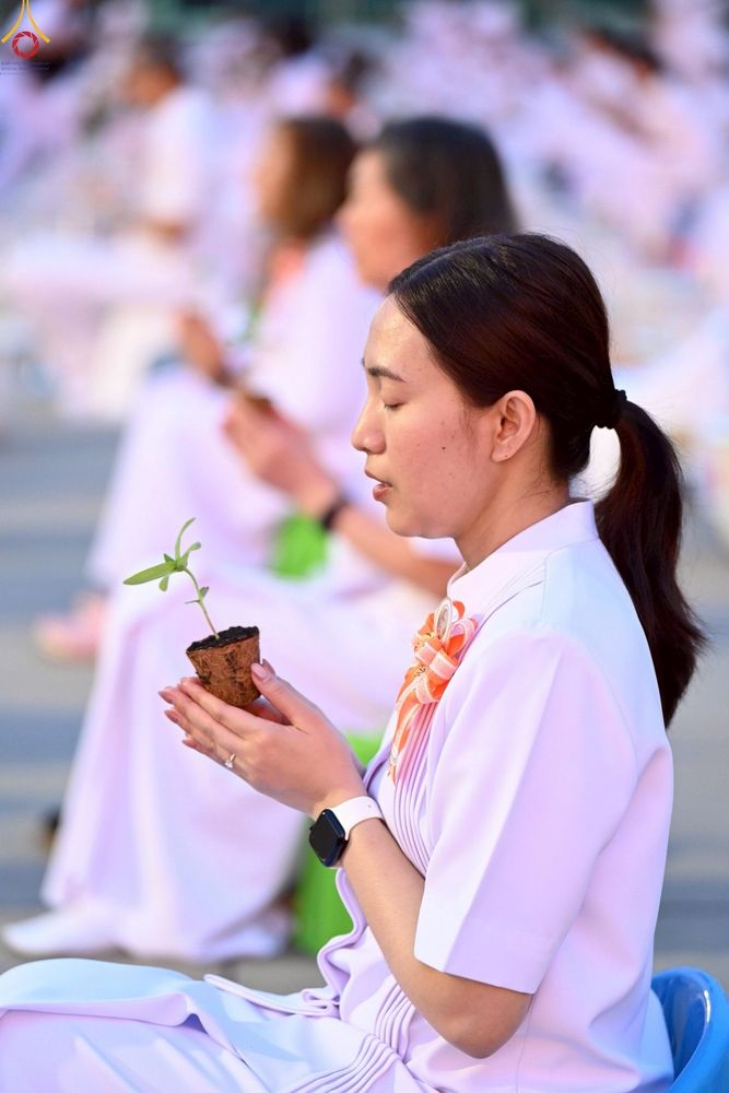 ภาพ No.252987:วันที่ 10 ตุลาคม พ.ศ. 2568 พิธีปลูกต้นทรัพย์บานชื่น ณ ลานธรรม วัดพระธรรมกาย