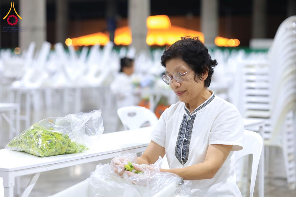 ภาพ No.303273:วันที่ 15-21 มกราคม พ.ศ.2569 ปลิดกลีบดอกเบญจทรัพย์ เพื่อโปรยต้อนรับพระธรรมยาตรา ในโครงการธรรมยาตรา กตัญญูบูชา มหาปูชนียาจารย์ พระมงคลเทพมุนี(สด จนฺทสโร) พระผู้ปราบมาร อนุสรณ์สถาน 7 แห่ง ปีที่ 14 ณ วิหารคด วัดพระธรรมกาย