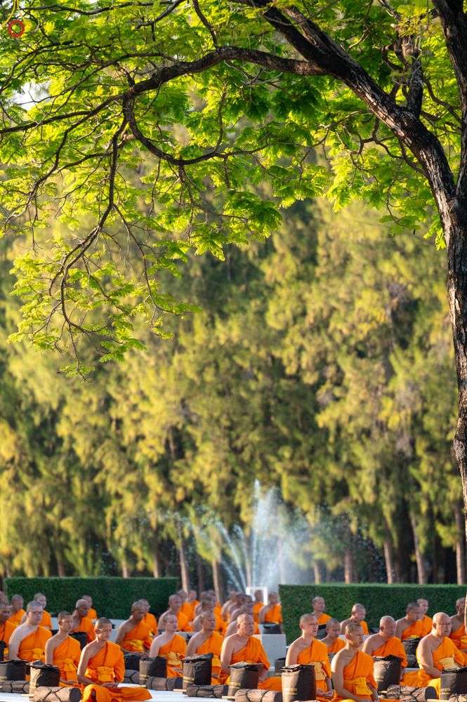 ภาพ No.281604:วันที่ 24 ธันวาคม พ.ศ.2568 พระธรรมยาตรา ปฏิบัติธรรม และถ่ายภาพหมู่ประวัติศาสตร์ ณ ลานหน้ามหาวิหารพระมงคลเทพมุนีฯ วัดพระธรรมกาย