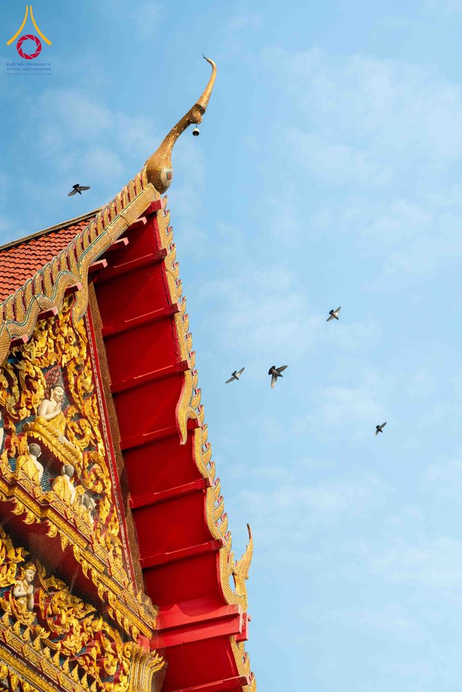 ภาพ No.304372:วันที่ 27 มกราคม พ.ศ. 2569 พิธีทอดผ้าป่าทำนุบำรุงศาสนสถาน ณ วัดบางไผ่นารถ ต.บางไทรป่า อ.บางเลน จ.นครปฐม ในโครงการธรรมยาตรา กตัญญูบูชา มหาปูชนียาจารย์ พระมงคลเทพมุนี(สด จนฺทสโร) พระผู้ปราบมาร อนุสรณ์สถาน 7 แห่ง ปีที่ 14